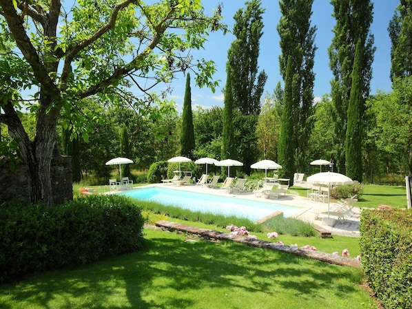 Plante, Ciel, Communauté Des Plantes, Arbre, Paysage Naturel, Ombre, Lot Terre, Herbe, L'Eau, Parapluie