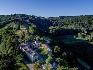 Natürliche Landschaft, Natur, Vegetation, Wildnis, Himmel, Garten, Luftaufnahmen, Botanischer Garten, Botanik, Baum