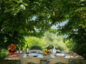 Tabelle, Pflanze, Pflanzengemeinschaft, Botanik, Gartenmöbel, Schatten, Baum, Fenster, Gras, Gehölz