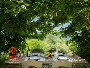 Table, Plante, Communauté Des Plantes, Botanique, Mobilier De Jardin, Ombre, Arbre, Fenêtre, Herbe, Suppression Des Plantes Ligneuses