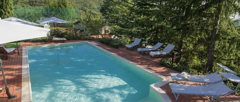 Piscina, Proprietà, Immobiliare, Tempo Libero, Casa, Vacanza, Resort Citta ', Backyard, Albero, Costruzione