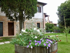 Property, House, Yard, Flower, Garden, Plant, Home, Building, Shrub, Grass