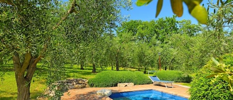 Natural Landscape, Nature, Swimming Pool, Property, Tree, Nature Reserve, Real Estate, Botany, Landscape, Estate