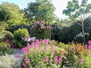 Flower, Flowering Plant, Garden, Plant, Botanical Garden, Shrub, Botany, Plant Community, Spring, Grass Family