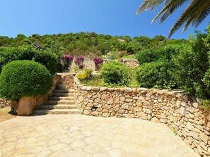 Eigentum, Vegetation, Garten, Wand, Haus, Baum, Grundeigentum, Botanik, Strauch, Pflanze