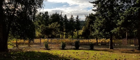 Out the front door, overlooking the neighboring vineyard.