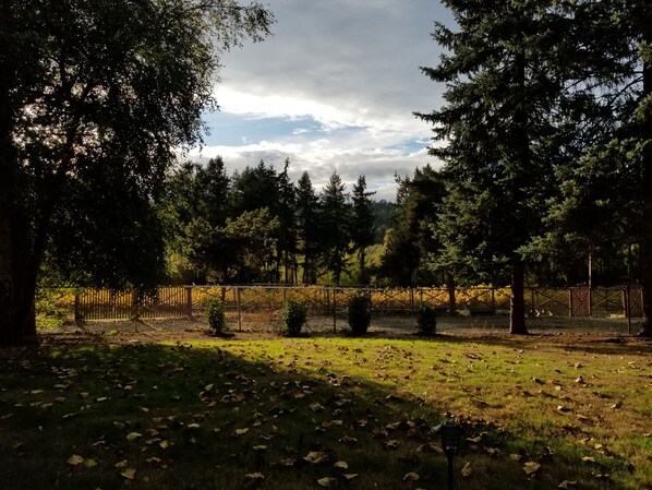 Out the front door, overlooking the neighboring vineyard.