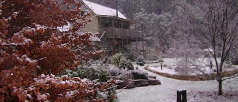 Your Alpine Apartment in winter snow