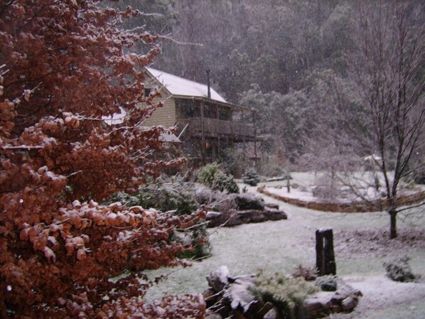 Your Alpine Apartment in winter snow