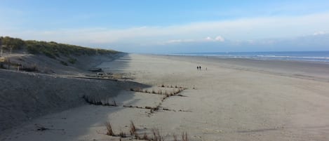 der Strand bei Ebbe zwischen Buren und Nes