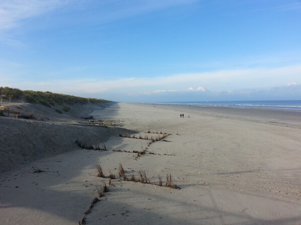 der Strand bei Ebbe zwischen Buren und Nes