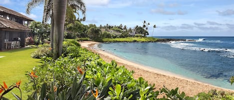 Hale Luana - Poipu's Finest at Baby Beach.jpg