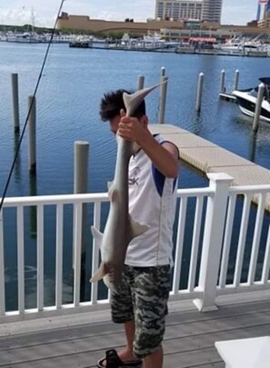 Fished off the deck