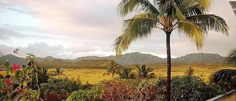 Majestic Pu'u Wanawana crater view from lanai and living room, Bungalow bedroom