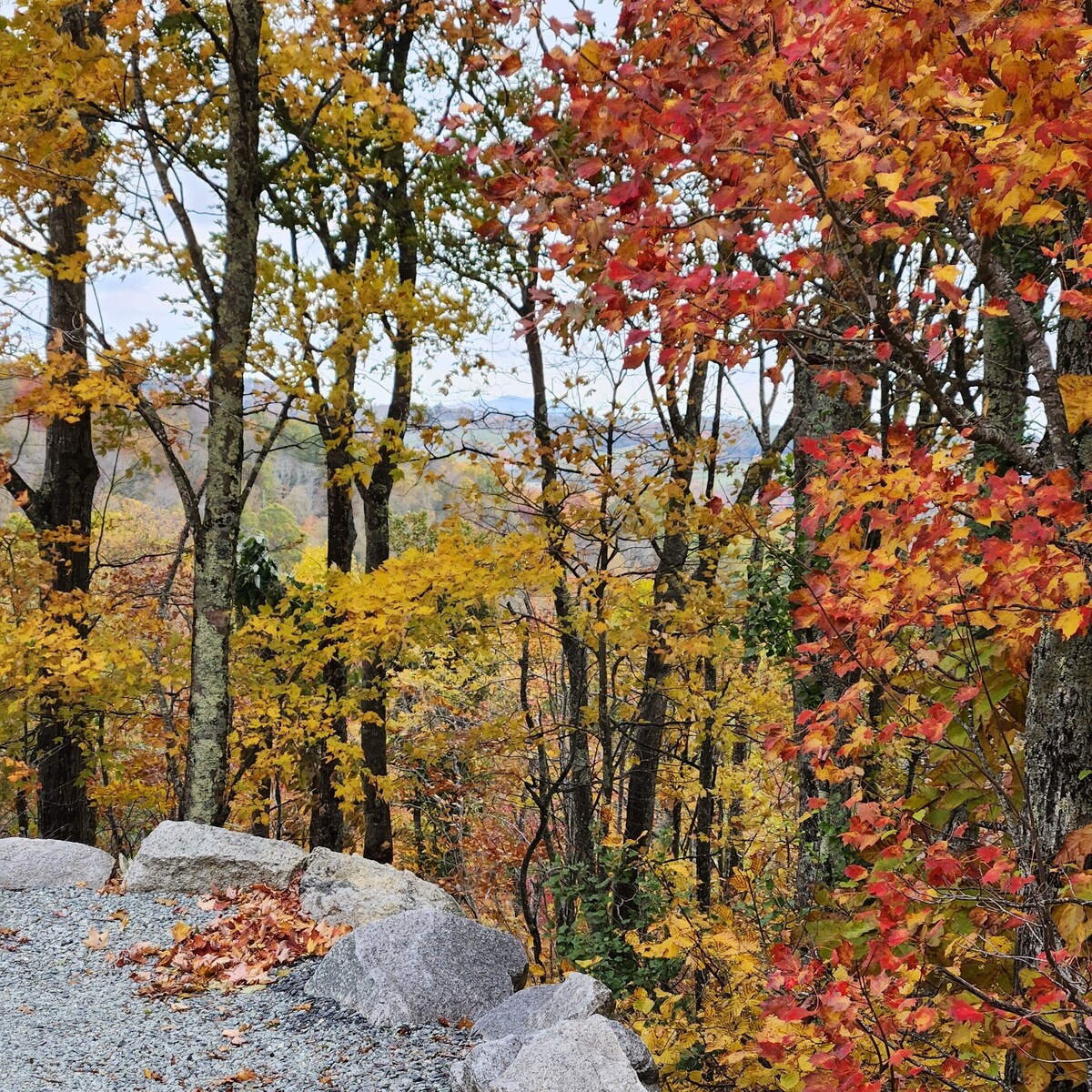 Legal Beech Bum Mountain Legal Retreat
