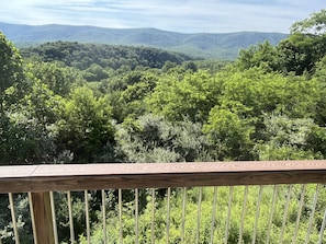Deck views.