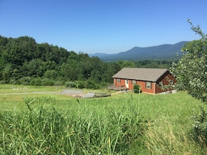 Incredible river views! Outdoor access is amazing here.