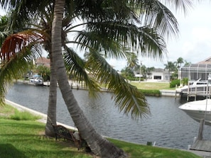 Beautiful lush waterfront lot with tropical landscaping and lighting