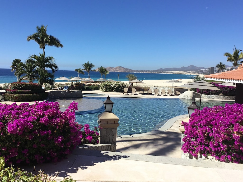 Work And Play From Here On The Sea Of Cortez Los Cabos San Jose Del Cabo