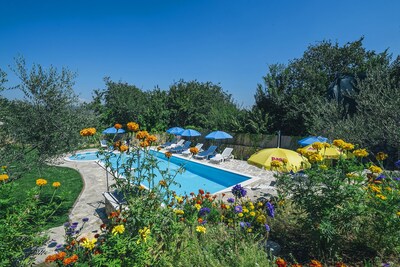 Picture of villa