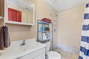 Walk in shower bathroom, toilet and vanity with a mirror. 