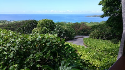 Rare Beauty and Luxury at Kealakekua Bay