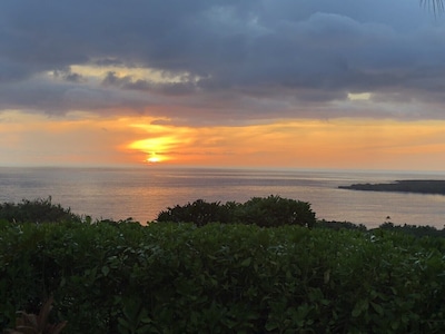 Rare Beauty and Luxury at Kealakekua Bay