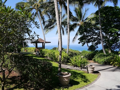 Rare Beauty and Luxury at Kealakekua Bay