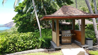 Rare Beauty and Luxury at Kealakekua Bay