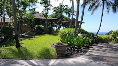 Rare Beauty and Luxury at Kealakekua Bay