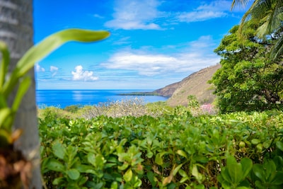 Rare Beauty and Luxury at Kealakekua Bay