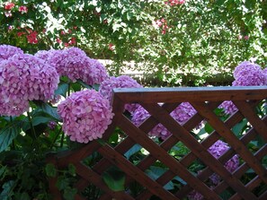 A detail of the veranda fence