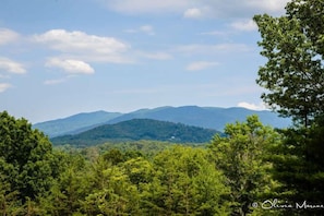 Your view from the porch and from inside the house!