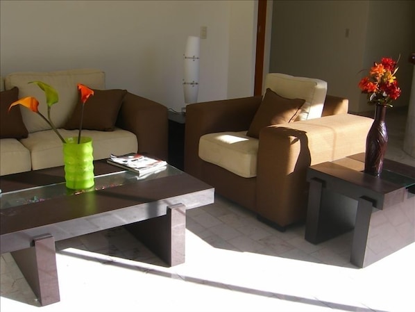 Unit 3 / living room