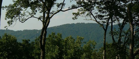 Blue Ridge Mountains from rear deck.