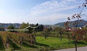 Die Lage der Wohnung im Dorf