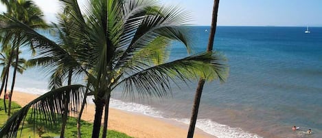 Balcony view 