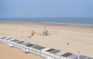area
