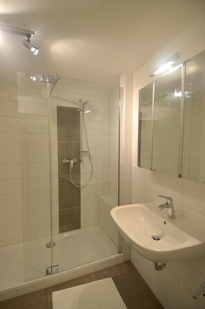 modern style bathroom with large shower