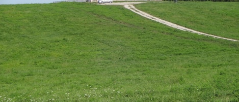 Closer view of house from driveway