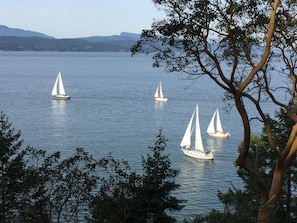 Stunning views of the Sail Boats from the kitchen, living and dining rooms.