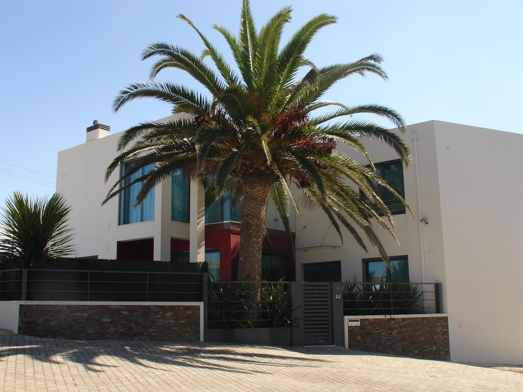 Picture of villa