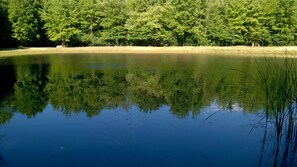 Pond View from West Side