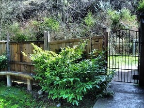 Homegrown cedar fence and wrought iron gate welcomes you. Park head-in on left 