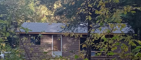 Waterfront cabin in the wood!