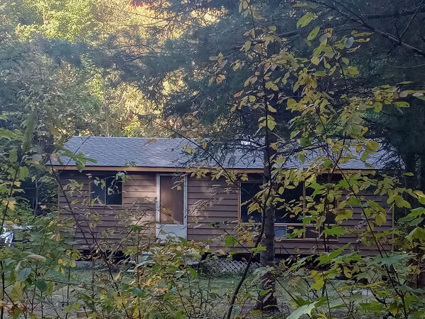 Waterfront cabin in the wood!