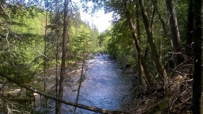 Algonquin Cabin on the Magnetawan river