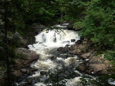 Algonquin Cabin on the Magnetawan river