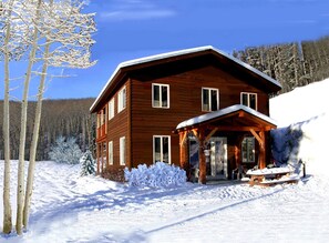 Knoll in winter