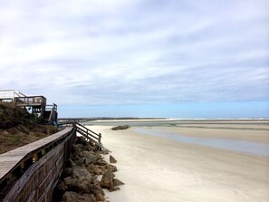 Our neighbor's backyard on a low-tide afternoon